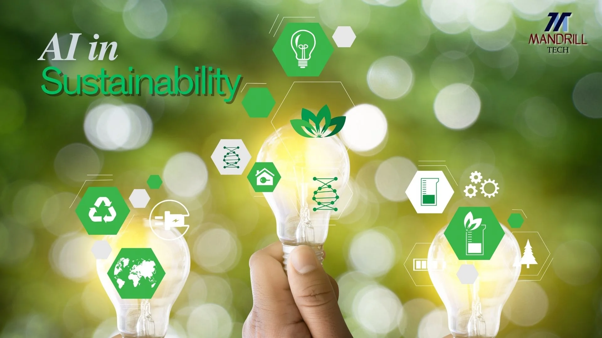 AI in Sustainability