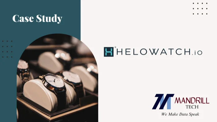 Case Study: HeloWatch’s Online Luxury Watch Marketplace