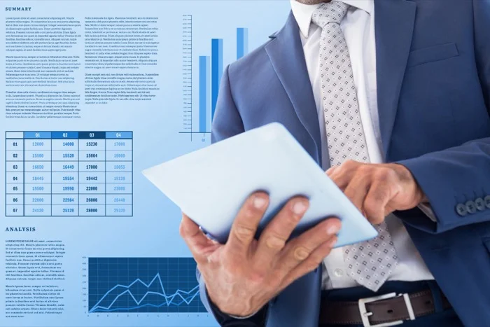 real-time visual interface that consolidates strategic business metrics for top-level decision-makers.